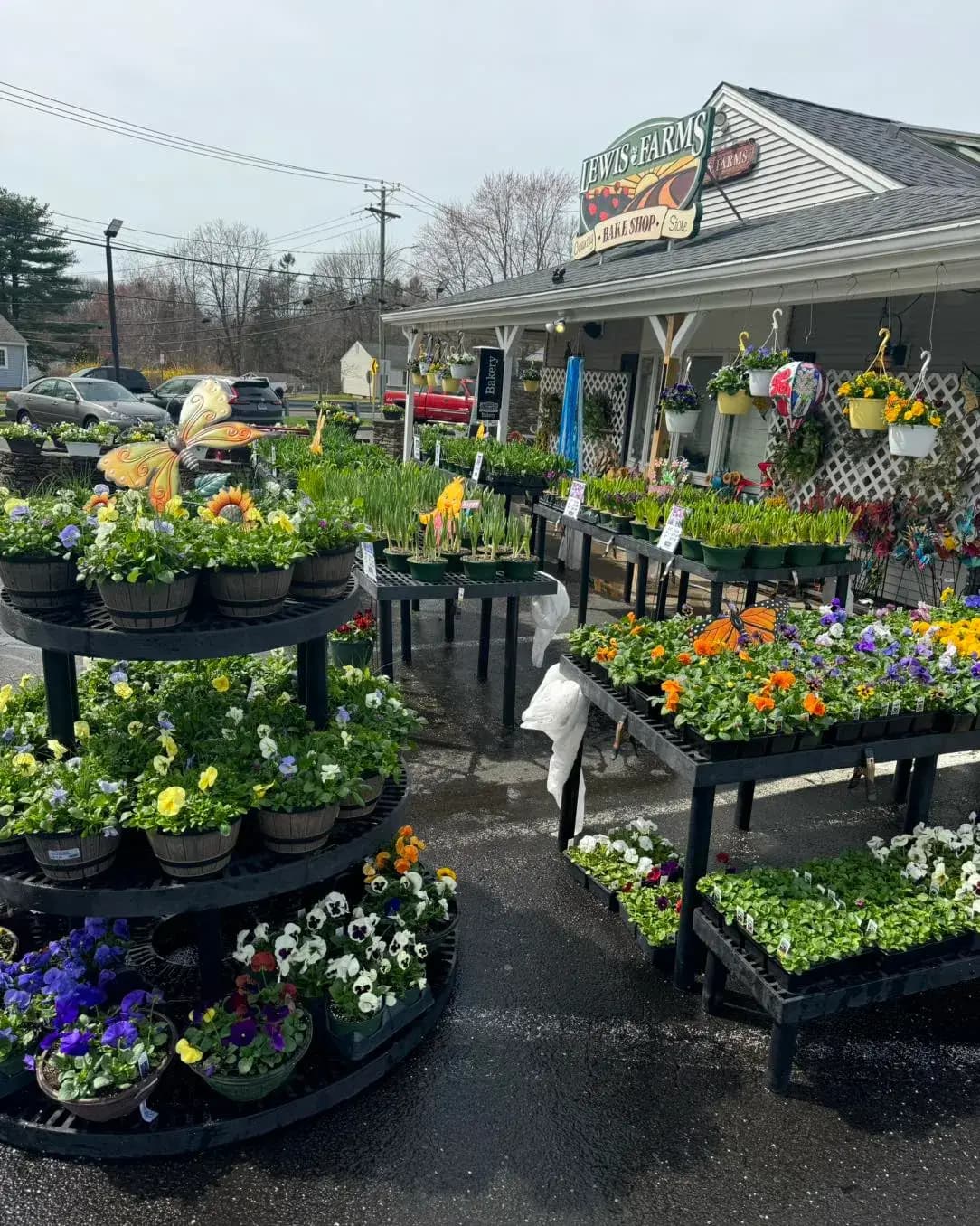 Lewis Farms Bakery and Country Store storefront in early spring